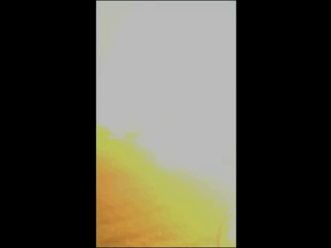 The white frame number two. Massive level of light saturation may indicate Nuclear blast. 