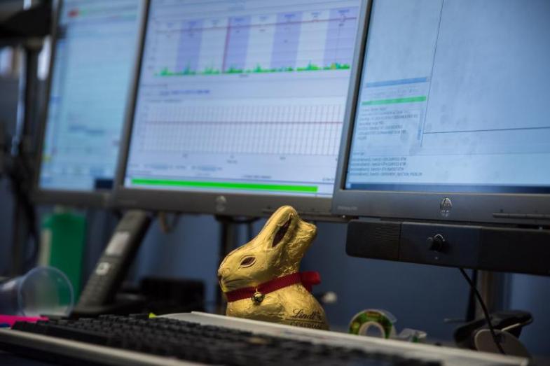 The rabbit recalls the very strange movie about time travel and inter-dimensionality (and teenage angst) Donnie Darko.